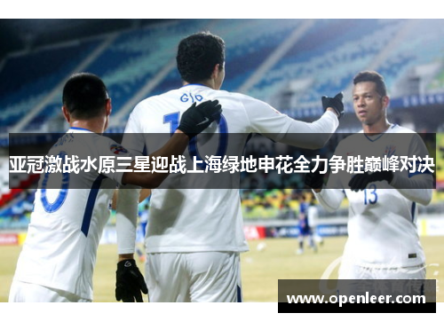 亚冠激战水原三星迎战上海绿地申花全力争胜巅峰对决