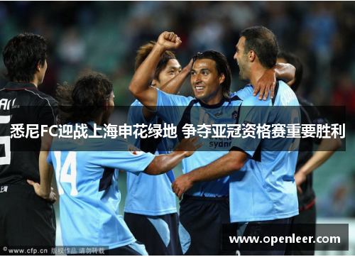 悉尼FC迎战上海申花绿地 争夺亚冠资格赛重要胜利