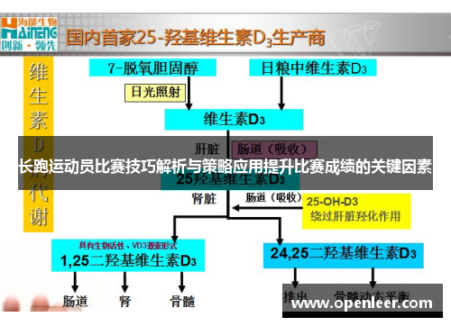 长跑运动员比赛技巧解析与策略应用提升比赛成绩的关键因素